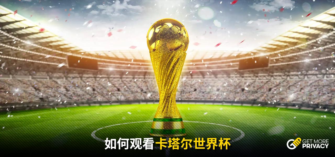 莱昂纳多被